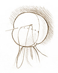 60