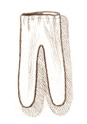 26t