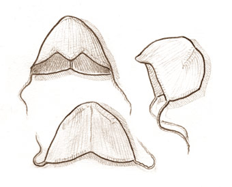 38t