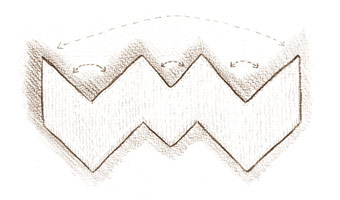 mutsje
