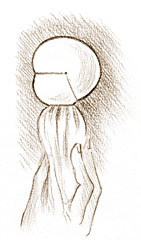 55