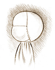 58