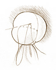 60