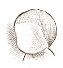 93e